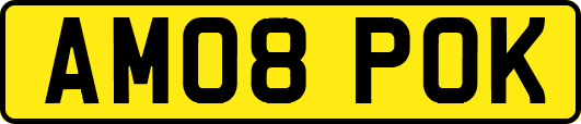 AM08POK