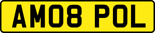 AM08POL