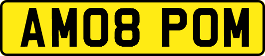 AM08POM