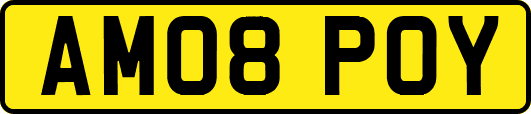 AM08POY