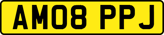 AM08PPJ