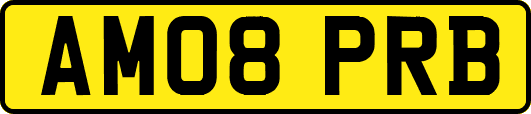 AM08PRB