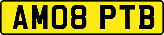 AM08PTB
