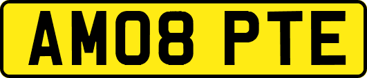 AM08PTE