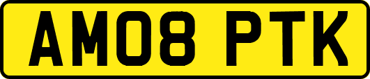 AM08PTK