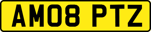 AM08PTZ