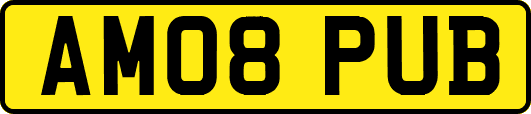 AM08PUB