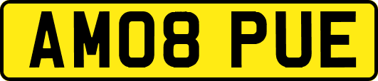 AM08PUE
