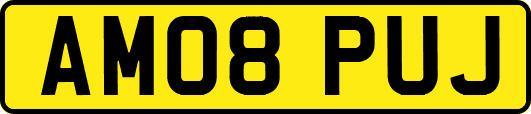 AM08PUJ
