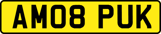 AM08PUK