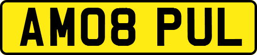 AM08PUL