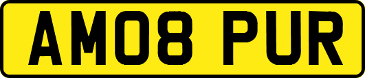 AM08PUR