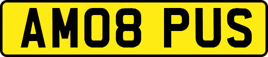 AM08PUS