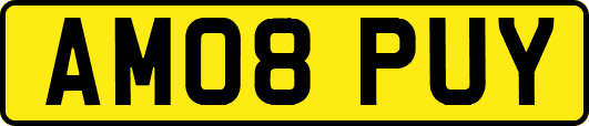 AM08PUY