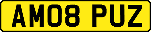 AM08PUZ