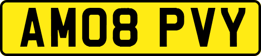 AM08PVY