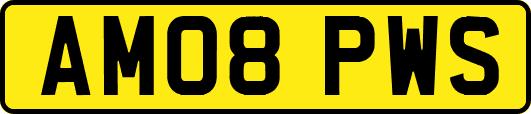 AM08PWS