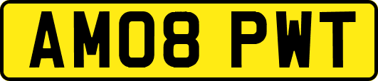 AM08PWT