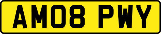 AM08PWY