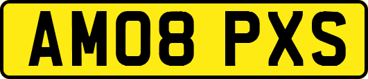 AM08PXS