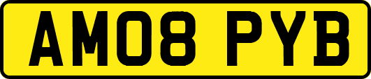 AM08PYB