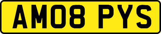 AM08PYS