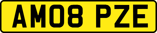 AM08PZE