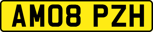 AM08PZH