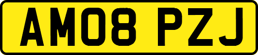 AM08PZJ