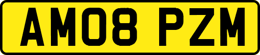 AM08PZM