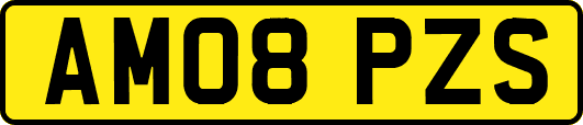 AM08PZS