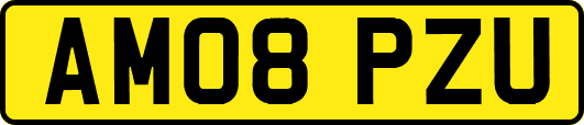AM08PZU