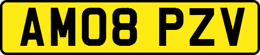 AM08PZV