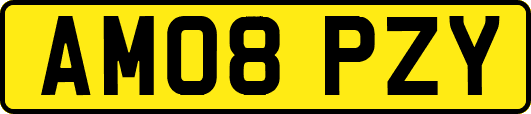 AM08PZY