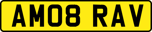 AM08RAV