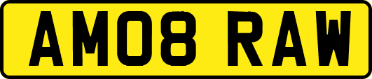 AM08RAW