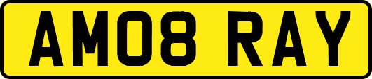AM08RAY