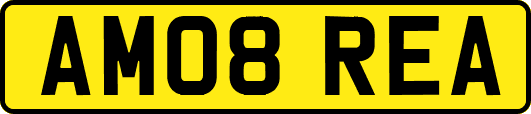 AM08REA