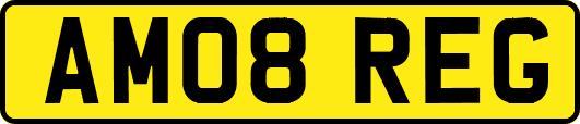 AM08REG