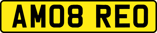 AM08REO