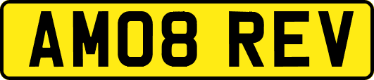 AM08REV
