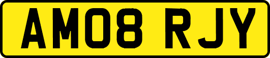 AM08RJY