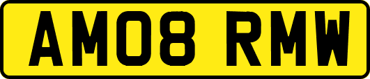 AM08RMW