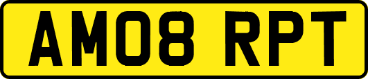 AM08RPT