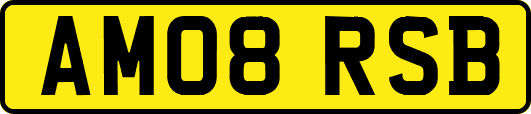 AM08RSB