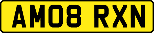 AM08RXN