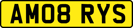 AM08RYS