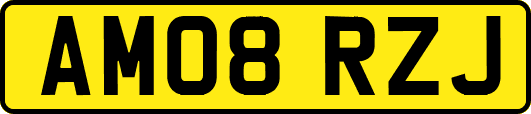 AM08RZJ