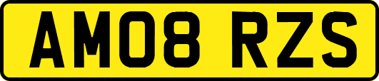 AM08RZS