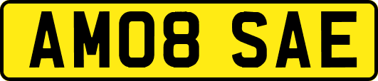 AM08SAE